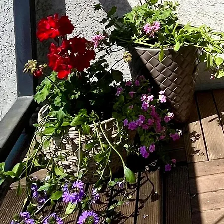 Sea And View With Sauna And Balcony *